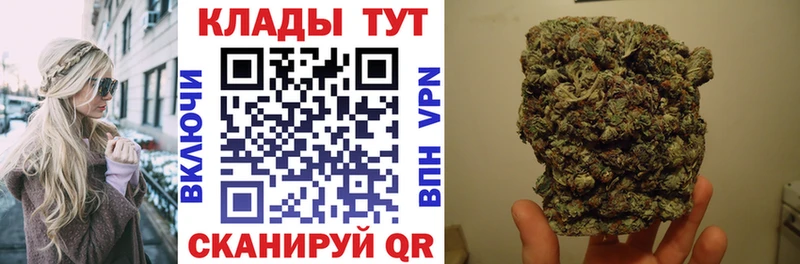 Наркота Снежногорск Alpha PVP  МЕФ  ГАШИШ  Псилоцибиновые грибы  КОКАИН  Марихуана  Амфетамин 