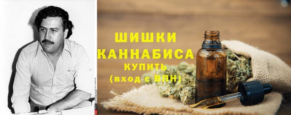 стаф Аркадак