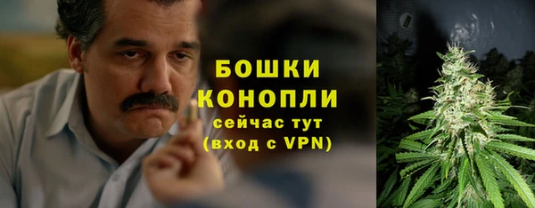 стаф Аркадак
