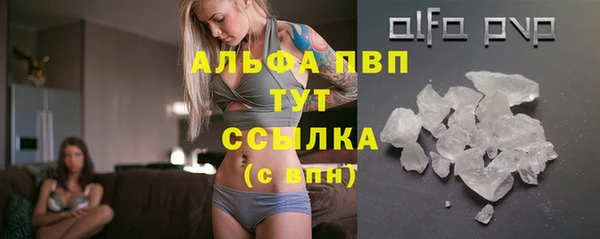 стаф Аркадак