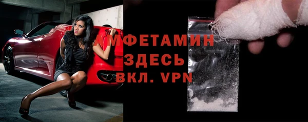 стаф Аркадак