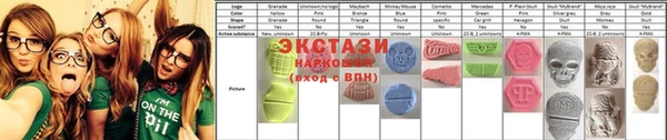 стаф Аркадак