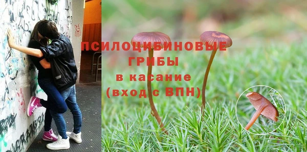MDMA Алексин