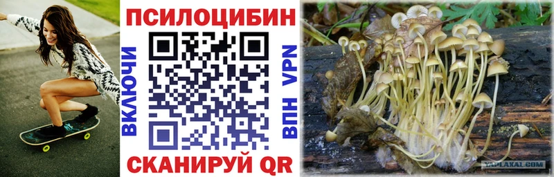 Псилоцибиновые грибы GOLDEN TEACHER  Снежногорск 