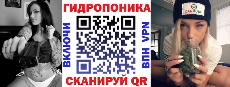 мега как зайти  Снежногорск  Конопля план 